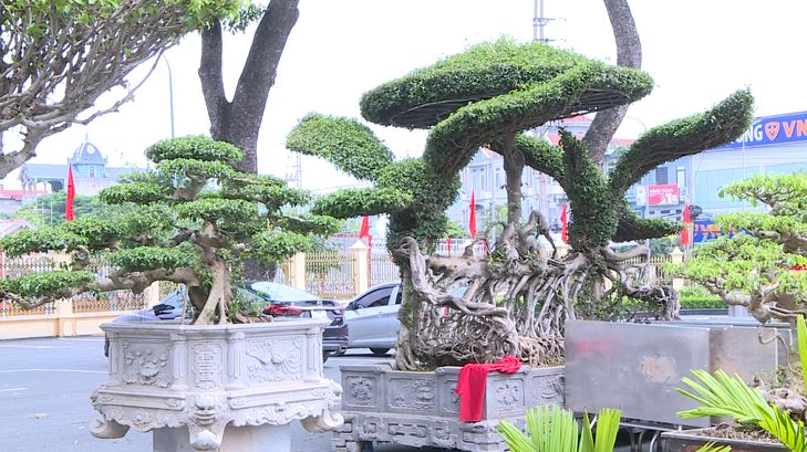 Xã Phúc Thọ khẩn trương, tích cực chuẩn bị công tác chào mừng Đại hội Đảng bộ xã nhiệm kỳ 2025-2030 - ảnh 3