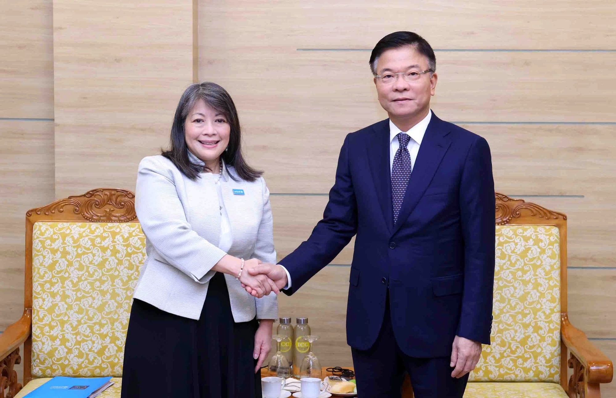 Phó Thủ tướng Lê Thành Long tiếp Giám đốc UNICEF khu vực Đông Á - Thái Bình Dương - ảnh 1