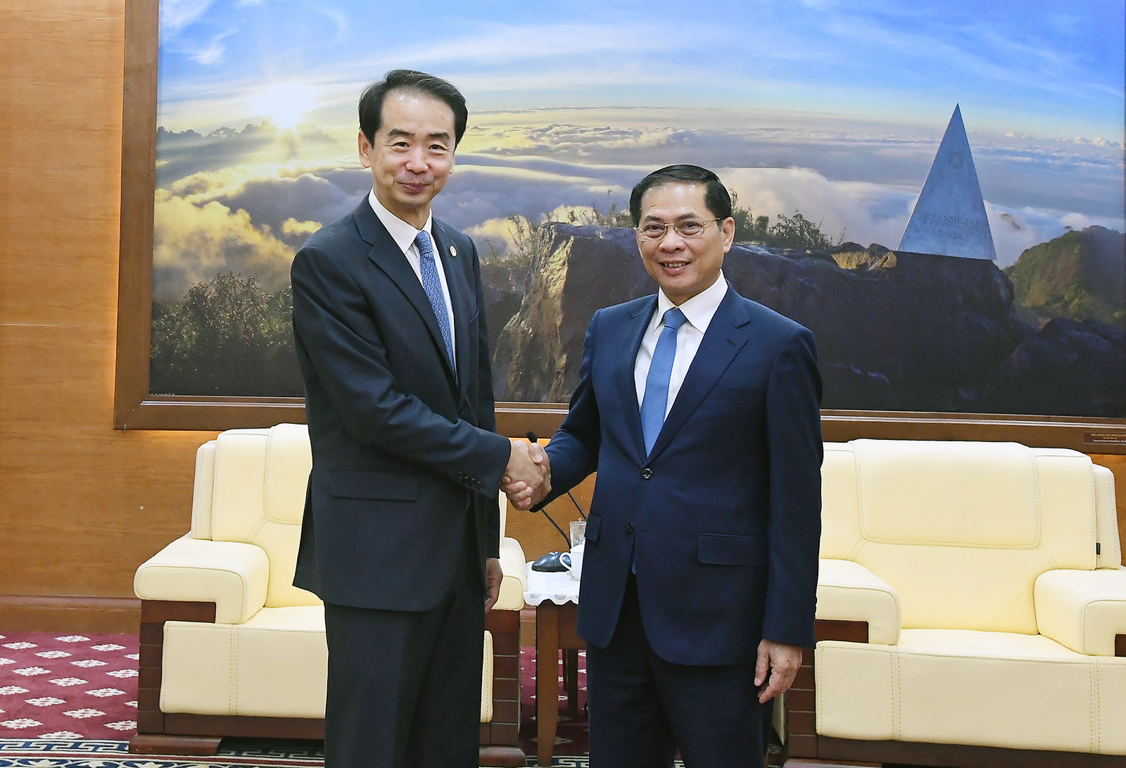 Phó Thủ tướng Bùi Thanh Sơn tiếp Đại sứ Trung Quốc Hà Vĩ - ảnh 1