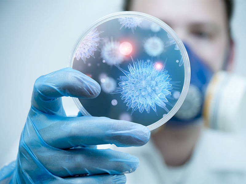 Bộ Y tế khuyến cáo người dân hạn chế đến khu vực có dịch bệnh do virus Nipah - ảnh 1