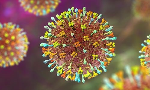 Ứng phó dịch virus Nipah: Nhiều sân bay lớn giám sát y tế như thời COVID-19 - ảnh 1