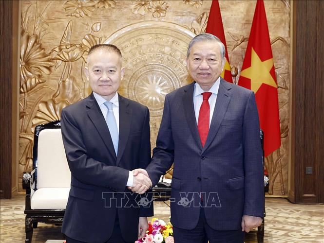 Tổng Bí thư Tô Lâm tiếp Đặc phái viên của Tổng Bí thư, Chủ tịch nước Trung Quốc Tập Cận Bình - ảnh 1