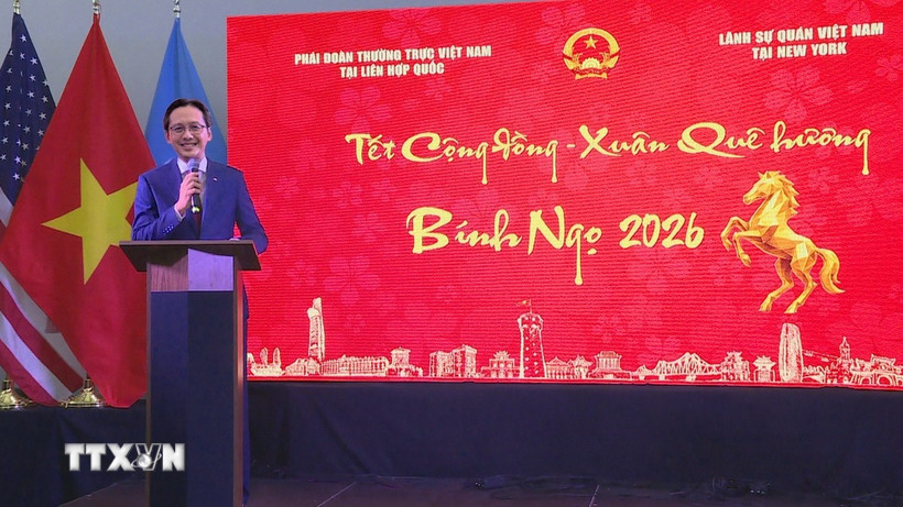 Xuân quê hương gắn kết cộng đồng người Việt khắp năm châu - ảnh 2