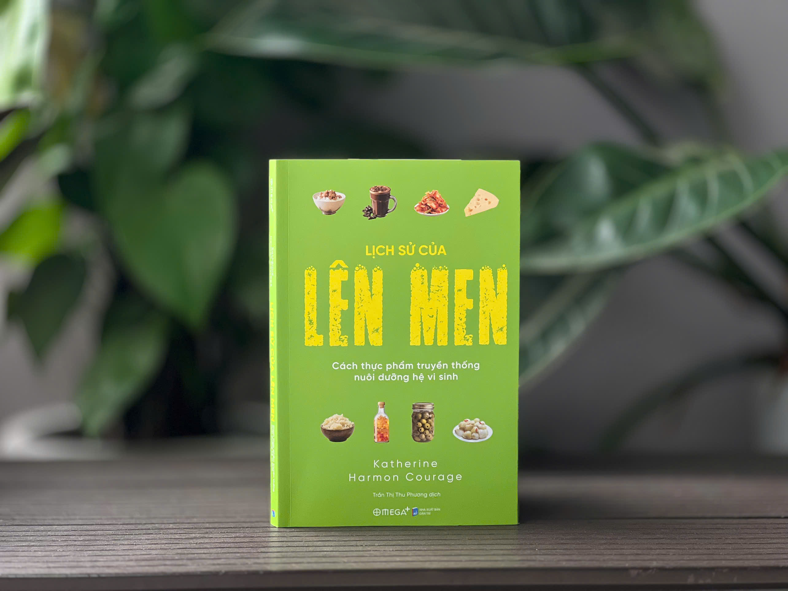 Hành trình thực phẩm lên men và thế giới vi sinh vật bên trong ta - ảnh 1