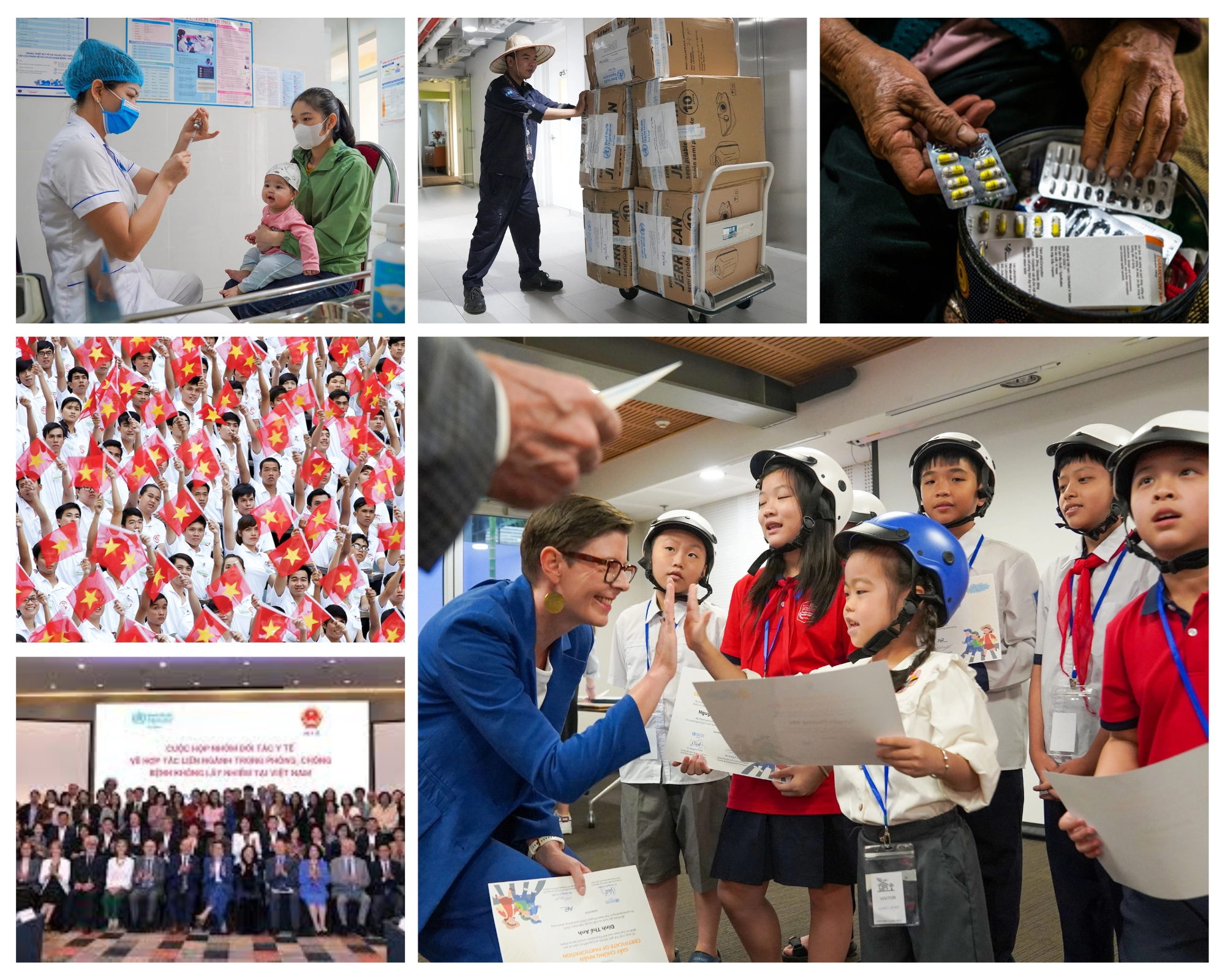 Cảm nhận của Trưởng Đại diện WHO trên chặng đường đồng hành với Việt Nam - ảnh 2