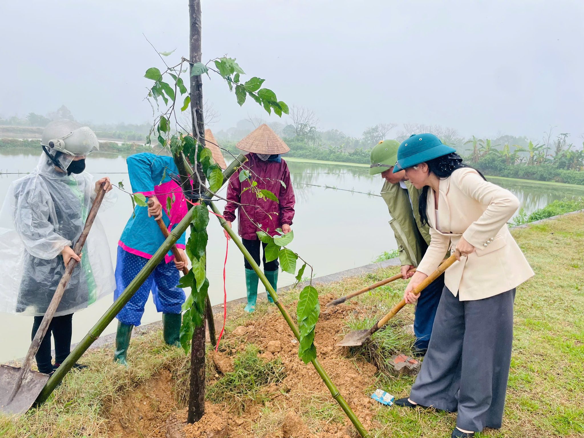 Xã Phúc Thọ đặt mục tiêu trồng 5.000 cây xanh năm 2026 - ảnh 4