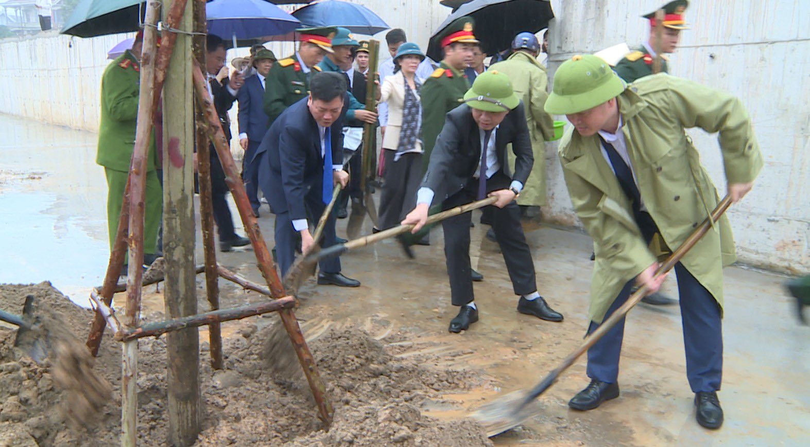 Xã Phúc Thọ đặt mục tiêu trồng 5.000 cây xanh năm 2026 - ảnh 3