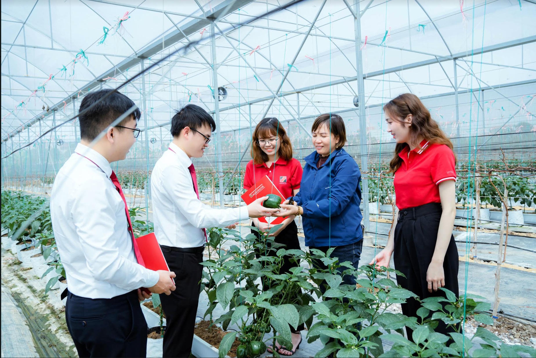 Agribank đồng hành tháo gỡ khó khăn, đẩy mạnh cung ứng vốn nền kinh tế - ảnh 2