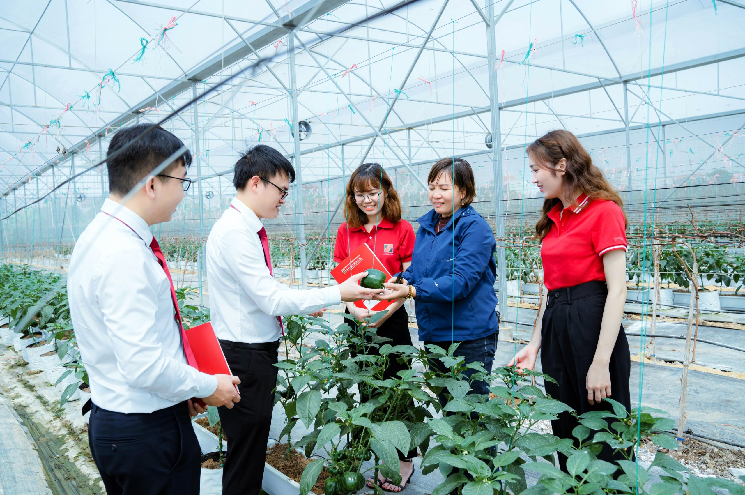 Agribank triển khai gói tín dụng ưu đãi lớn lên tới 110.000 tỷ đồng ngay từ đầu năm 2025 - ảnh 3