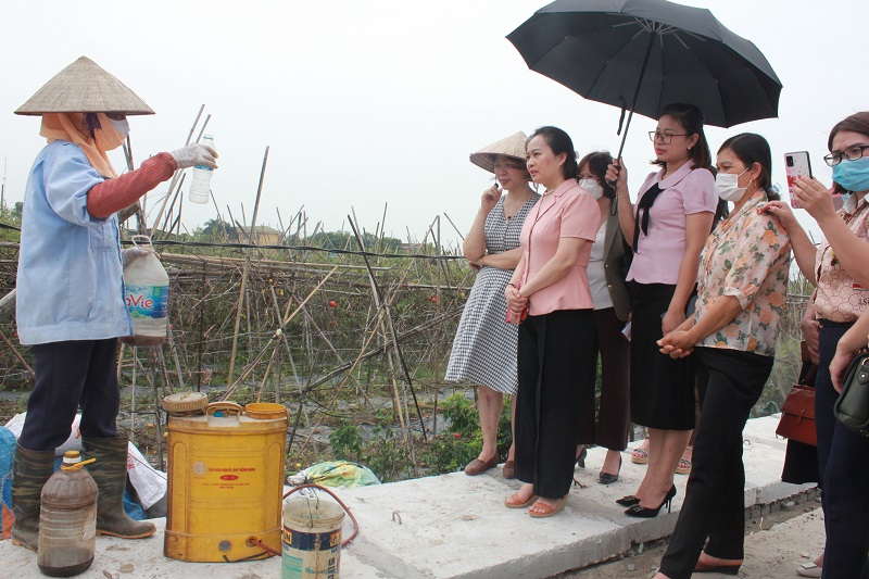 Hội LHPN Hà Nội: Phát triển sản xuất nông nghiệp hàng hóa ứng dụng công nghệ cao - ảnh 10