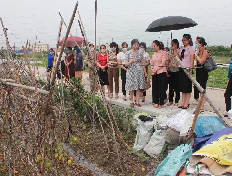 Hội LHPN Hà Nội: Phát triển sản xuất nông nghiệp hàng hóa ứng dụng công nghệ cao - ảnh 7