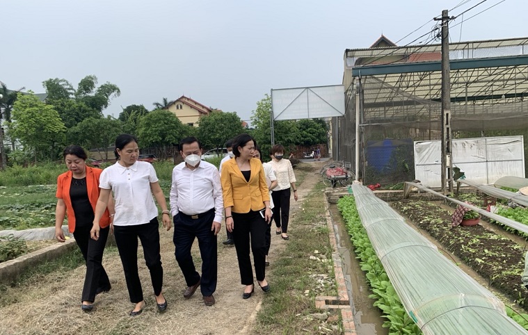 Hội LHPN Hà Nội: Phát triển sản xuất nông nghiệp hàng hóa ứng dụng công nghệ cao - ảnh 12