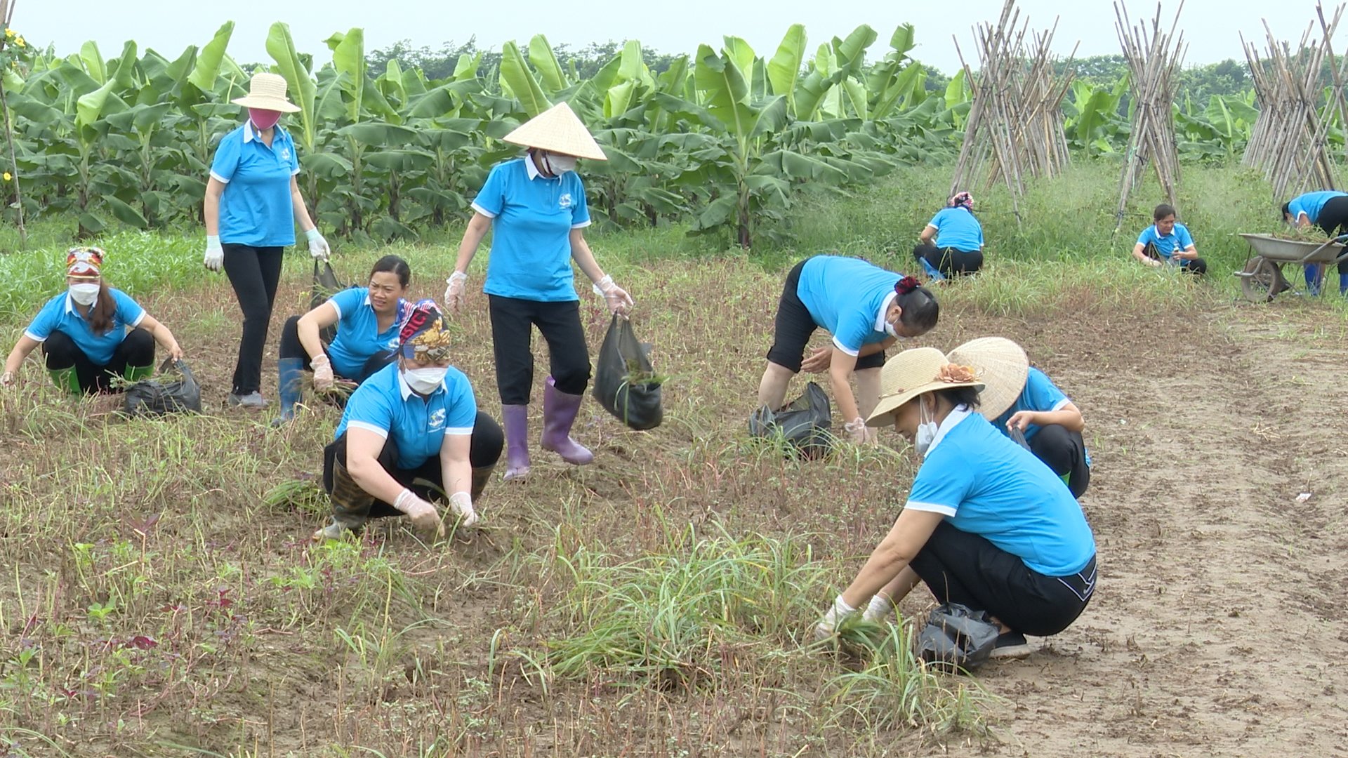 Hội LHPN huyện Gia Lâm: Nhiều mô hình thu gom, phân loại, xử lý rác thải tại nguồn - ảnh 10