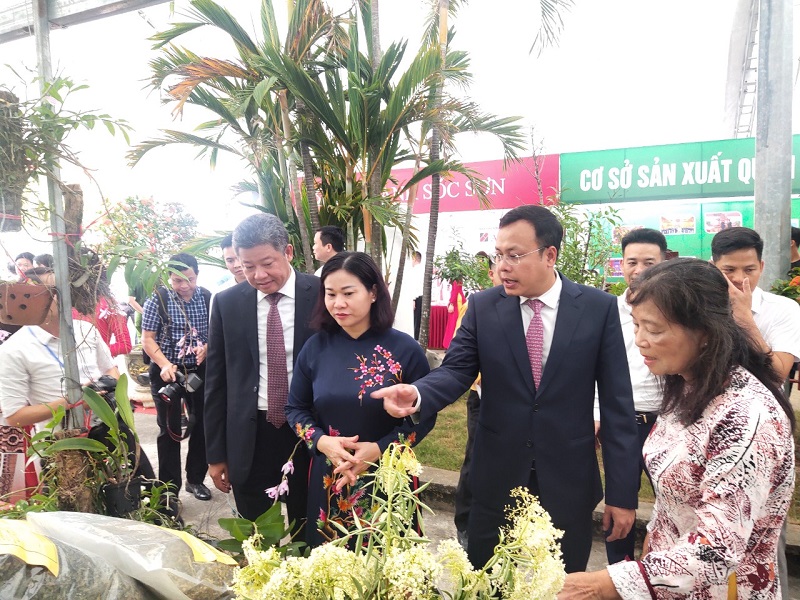 Huyện Sóc Sơn: Về đích Nông thôn mới, đón nhận Huân chương Lao động hạng Ba - ảnh 2