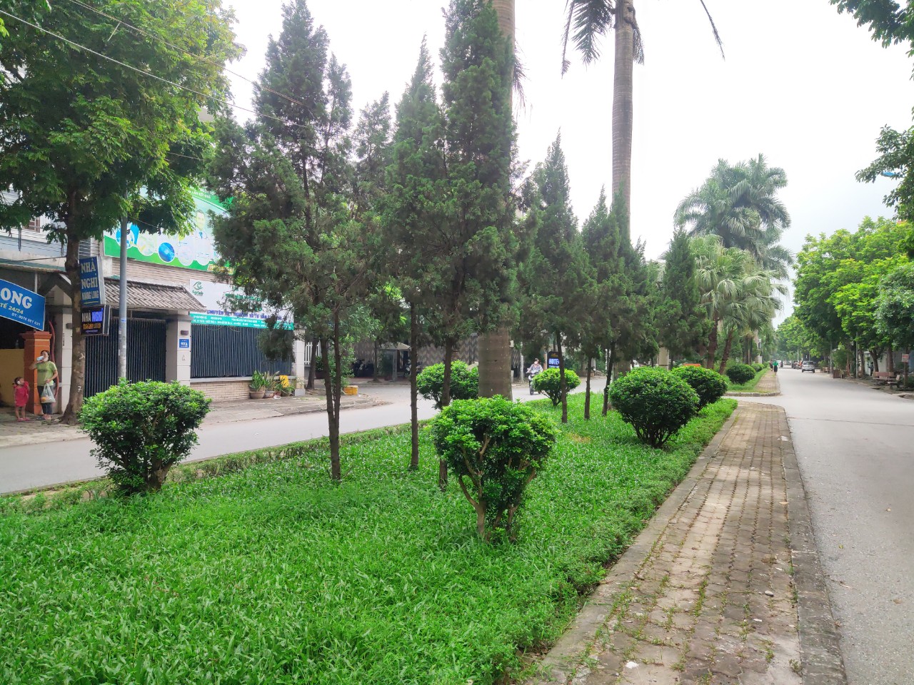 Nhân rộng mô hình “Đoạn đường/tuyến phố bích họa/nở hoa” - ảnh 4