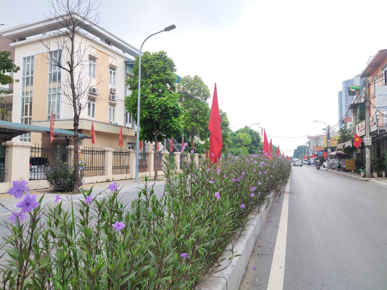 Nhân rộng mô hình “Đoạn đường/tuyến phố bích họa/nở hoa” - ảnh 12