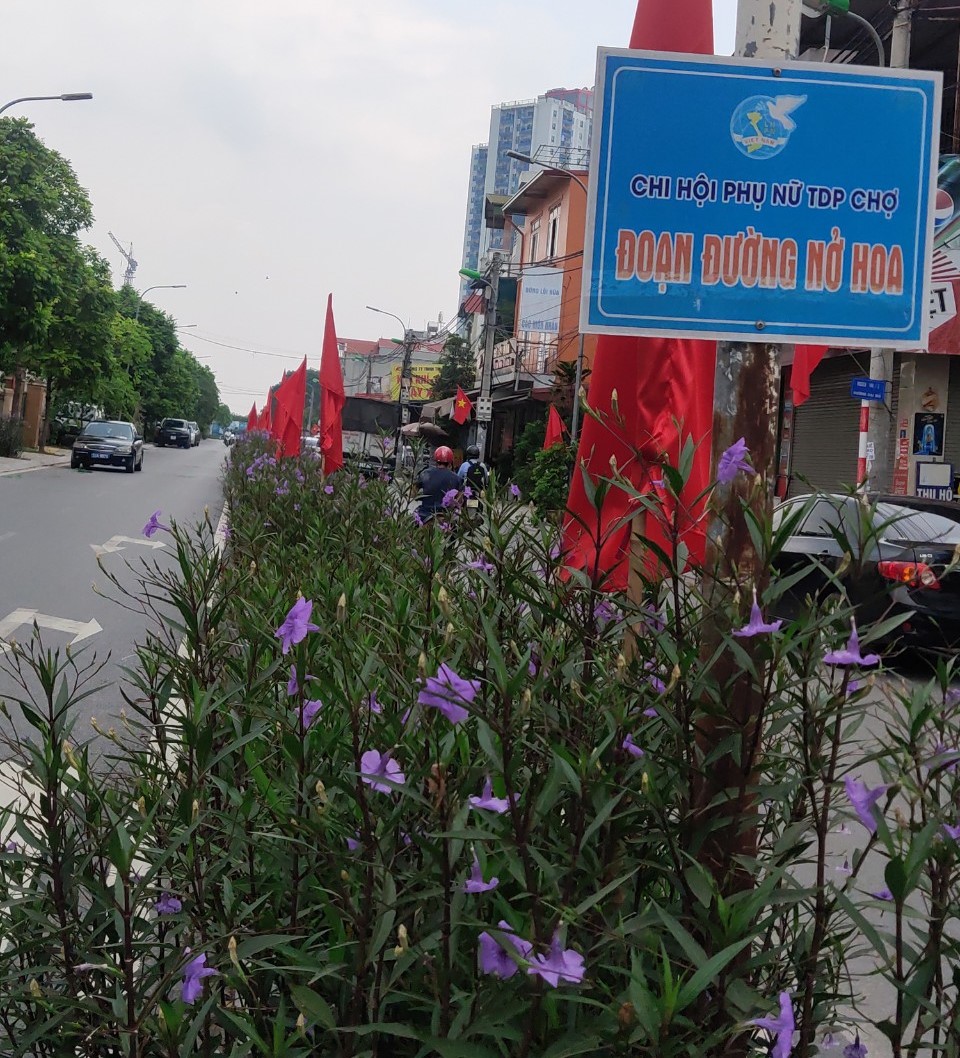 Nhân rộng mô hình “Đoạn đường/tuyến phố bích họa/nở hoa” - ảnh 13