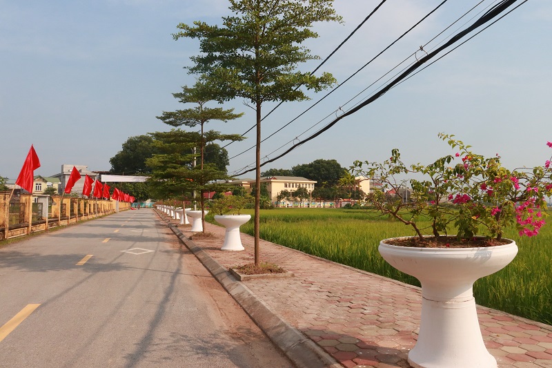 Những tuyến đường hoa kiểu mẫu góp phần xây dựng nông thôn mới nâng cao - ảnh 9