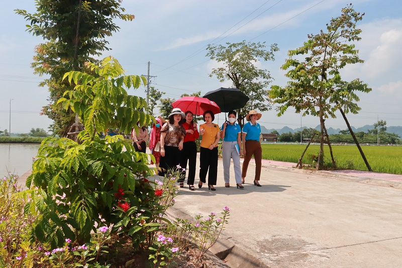 Những tuyến đường hoa kiểu mẫu góp phần xây dựng nông thôn mới nâng cao - ảnh 7