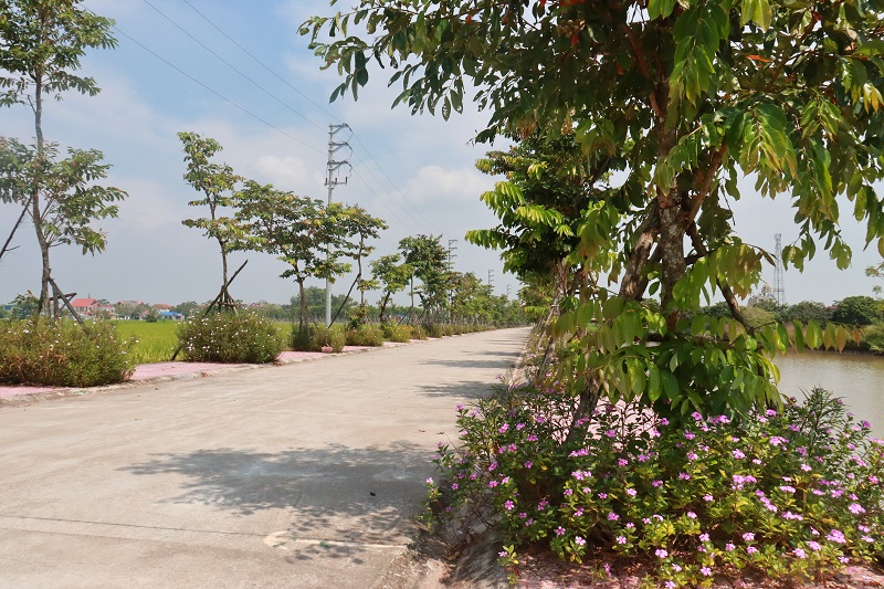 Những tuyến đường hoa kiểu mẫu góp phần xây dựng nông thôn mới nâng cao - ảnh 8