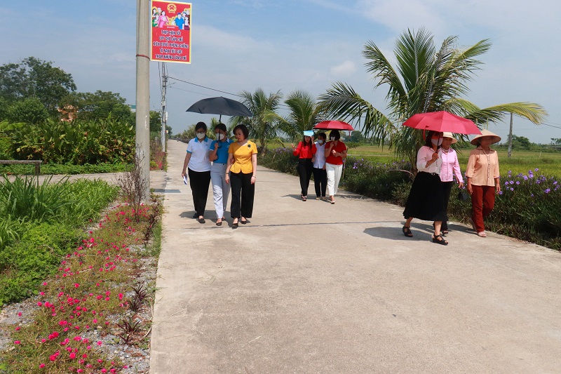 Những tuyến đường hoa kiểu mẫu góp phần xây dựng nông thôn mới nâng cao - ảnh 5