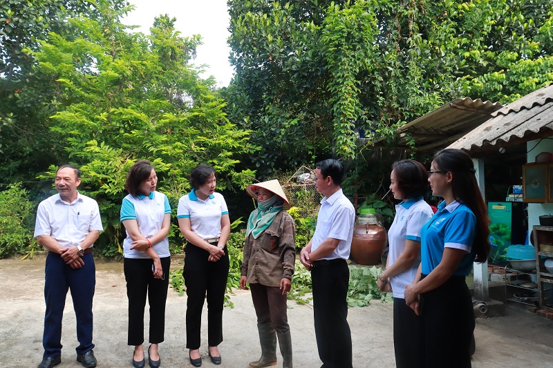 Nhiều hộ gia đình thoát nghèo nhờ nguồn vốn vay chăn nuôi bò sữa - ảnh 4