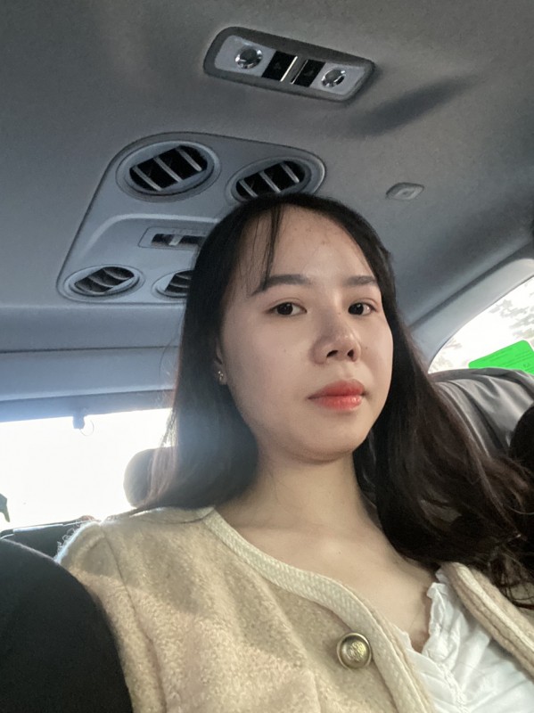 Triệt phá đường dây mại dâm do nữ sinh viên cầm đầu - ảnh 1