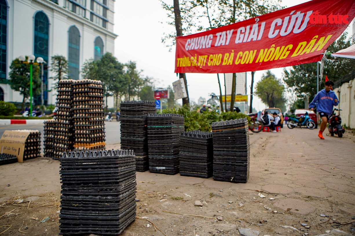 Cần làm rõ nguồn gốc những quả 'trứng gà, vịt giải cứu' ở Hà Nội - ảnh 5