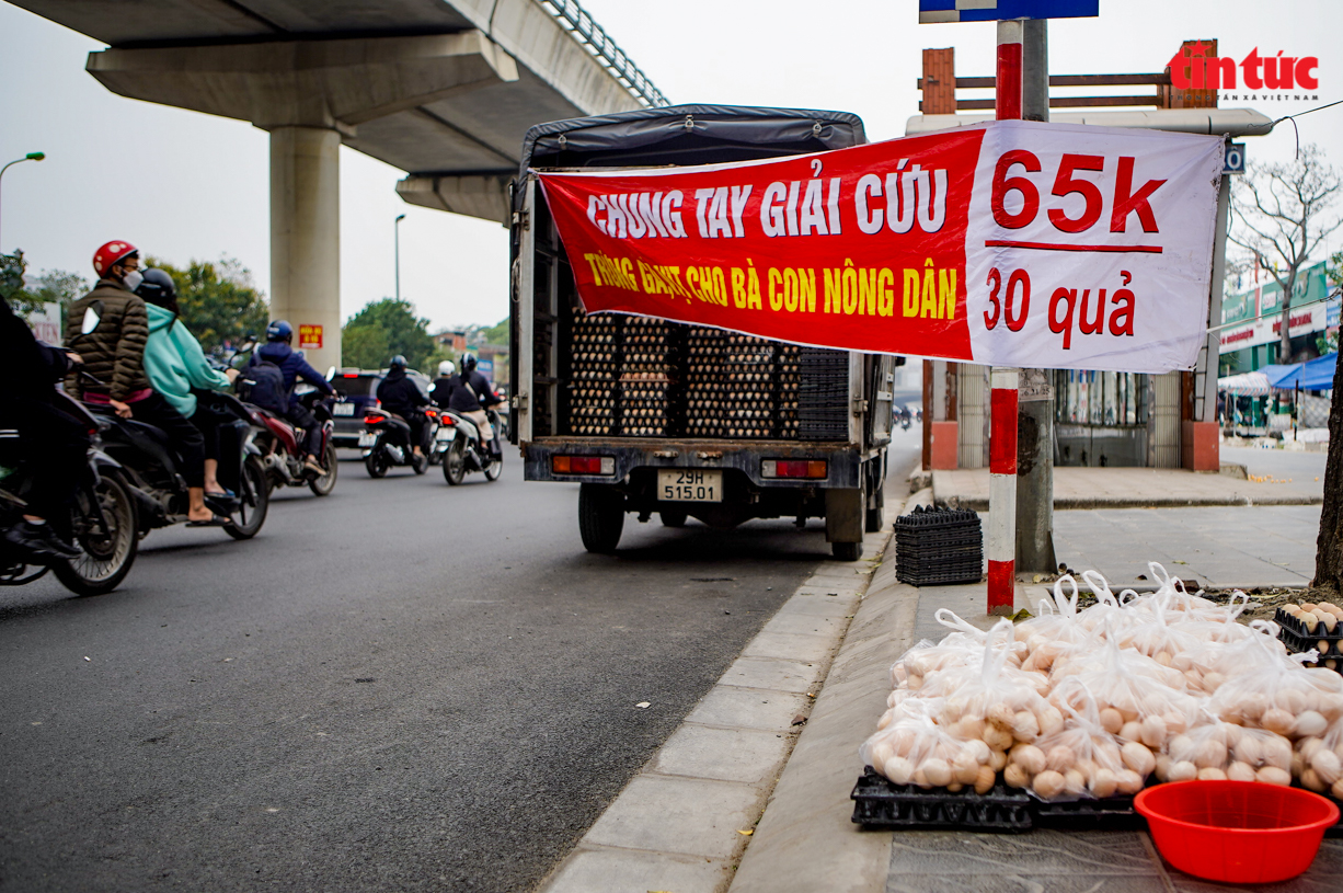 Cần làm rõ nguồn gốc những quả 'trứng gà, vịt giải cứu' ở Hà Nội - ảnh 3