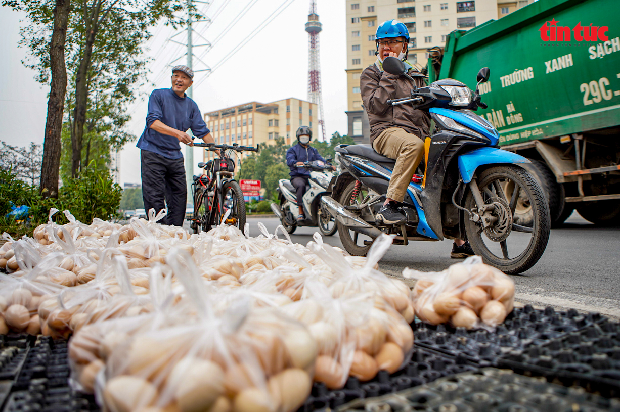 Cần làm rõ nguồn gốc những quả 'trứng gà, vịt giải cứu' ở Hà Nội - ảnh 4