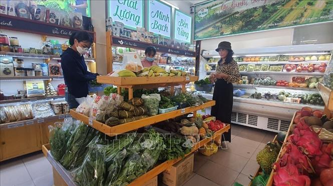 Đôi vợ chồng trẻ làm giàu từ trồng rau sạch - ảnh 3