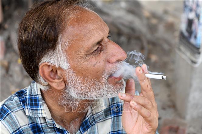 Kinh nghiệm tăng thuế thuốc lá tại một số quốc gia và bài học cho Việt Nam - ảnh 1