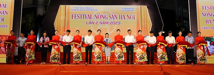 Thúc đẩy chương trình xúc tiến thương mại, sản xuất nông nghiệp và quảng bá du lịch trên địa bàn huyện Đông Anh - ảnh 1