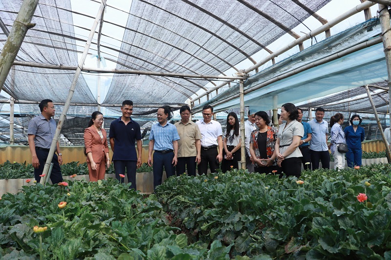 Nhiều đóng góp tích cực vào sự phát triển của Thủ đô - ảnh 3