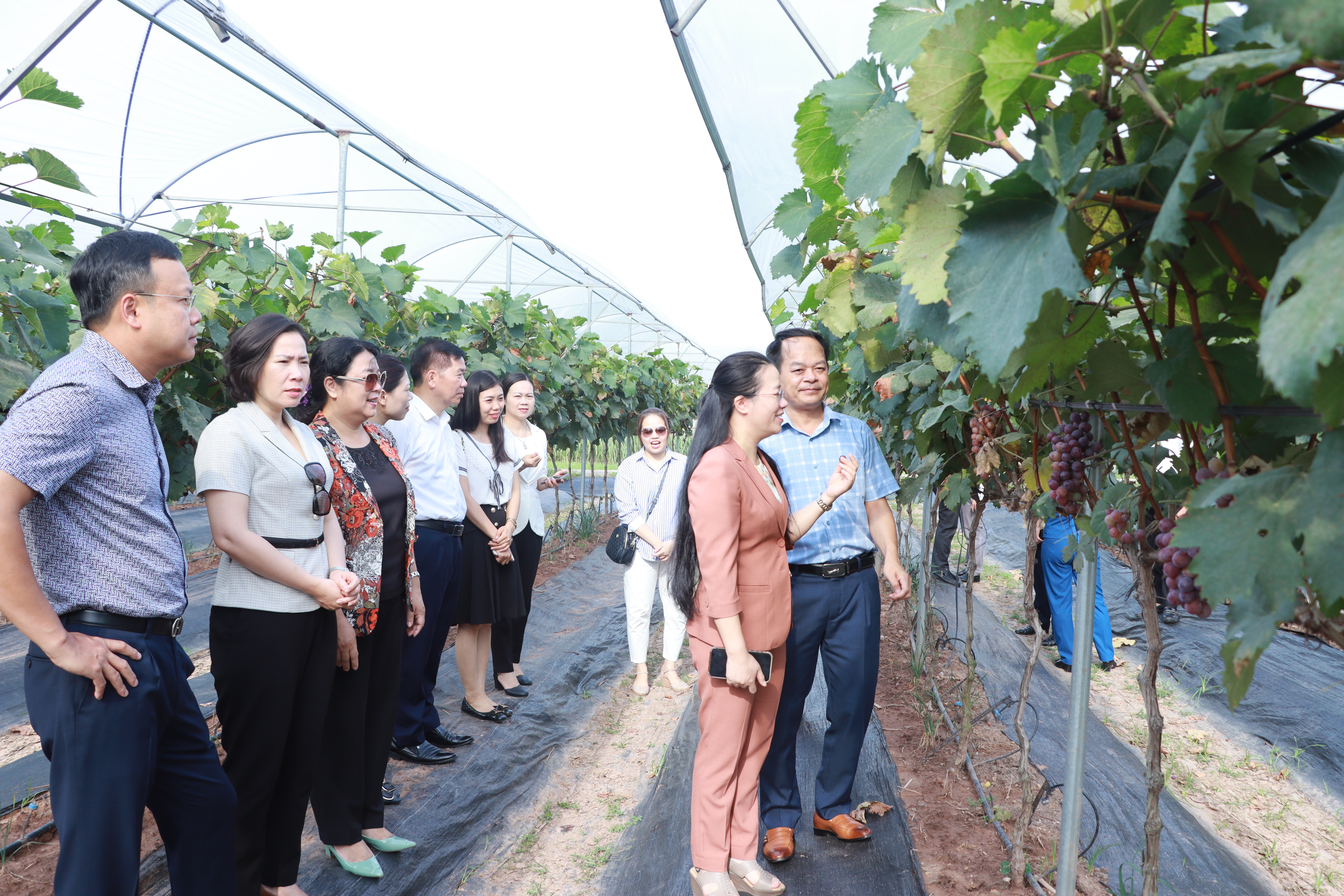 Nhiều đóng góp tích cực vào sự phát triển của Thủ đô - ảnh 1