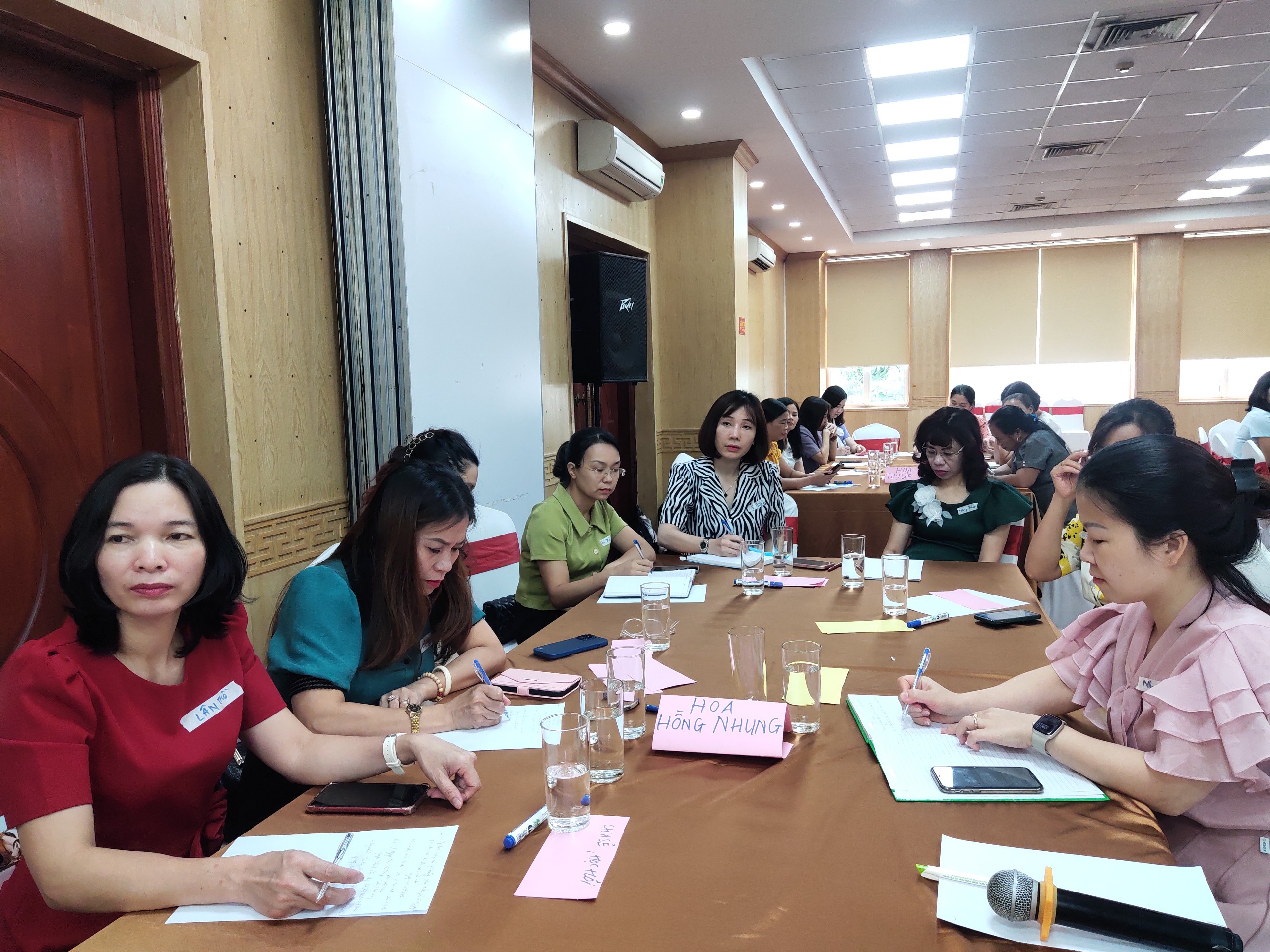 Nâng cao kỹ năng phân tích giới và lồng ghép giới cho cán bộ Hội Phụ nữ các cấp - ảnh 4