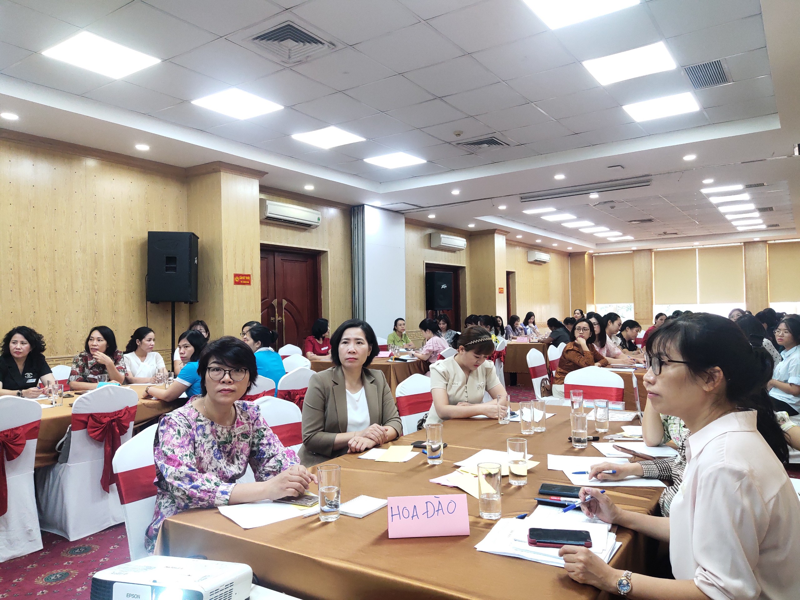 Nâng cao kỹ năng phân tích giới và lồng ghép giới cho cán bộ Hội Phụ nữ các cấp - ảnh 3