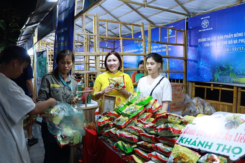Hơn 600 hội viên phụ nữ của 12 Câu lạc bộ Dân vũ tham gia trình diễn dân vũ với áo dài - ảnh 12