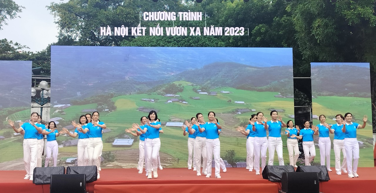 Hơn 600 hội viên phụ nữ của 12 Câu lạc bộ Dân vũ tham gia trình diễn dân vũ với áo dài - ảnh 4