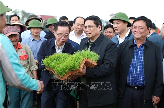 Thủ tướng Phạm Minh Chính xuống đồng cùng nông dân tỉnh Hải Dương - ảnh 2