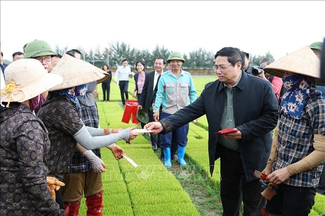 Thủ tướng Phạm Minh Chính xuống đồng cùng nông dân tỉnh Hải Dương - ảnh 1