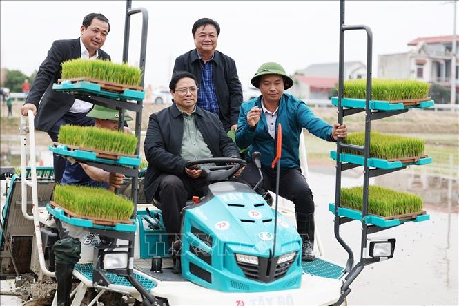 Thủ tướng Phạm Minh Chính xuống đồng cùng nông dân tỉnh Hải Dương - ảnh 3