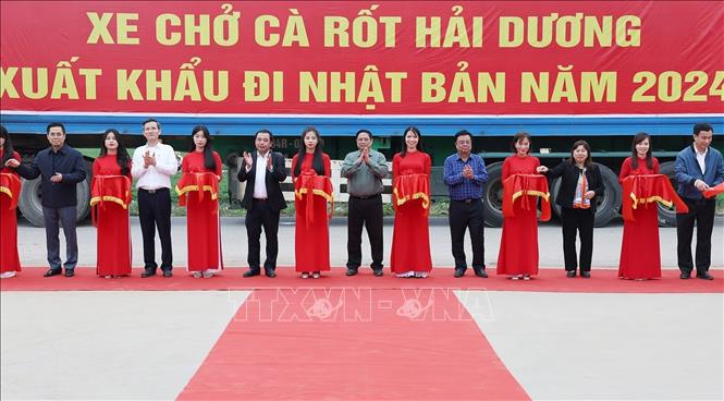 Thủ tướng Phạm Minh Chính xuống đồng cùng nông dân tỉnh Hải Dương - ảnh 4