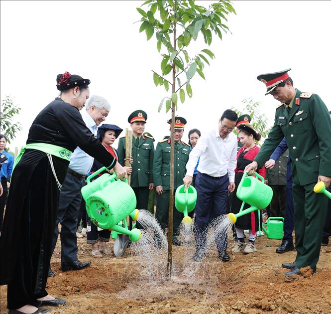 Trồng cây là hành động đẹp và ý nghĩa, mỗi cây được trồng là món quà vô giá - ảnh 3
