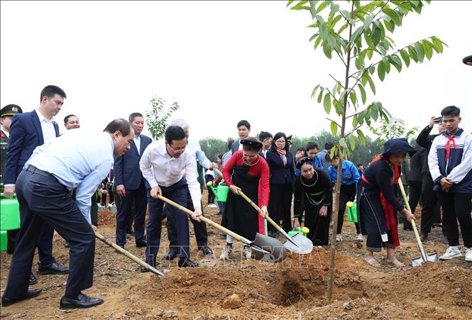 Trồng cây là hành động đẹp và ý nghĩa, mỗi cây được trồng là món quà vô giá - ảnh 2