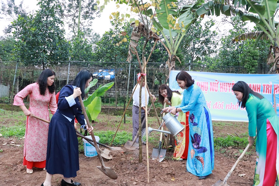 Các cấp Hội Phụ nữ huyện Thanh Trì phấn đấu trồng 250 cây xanh, cây ăn trái - ảnh 5