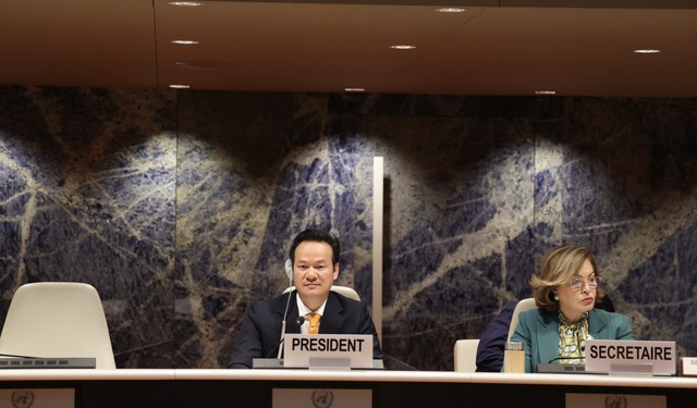 Lần đầu tiên Việt Nam giữ vai trò Chủ tịch kỳ họp của ủy ban thuộc UNCTAD - ảnh 1