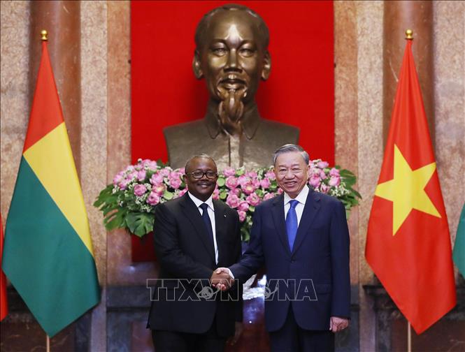Tổng Bí thư, Chủ tịch nước Tô Lâm chủ trì lễ đón chính thức Tổng thống Guinea-Bissau - ảnh 7
