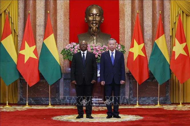 Tổng Bí thư, Chủ tịch nước Tô Lâm chủ trì lễ đón chính thức Tổng thống Guinea-Bissau - ảnh 6