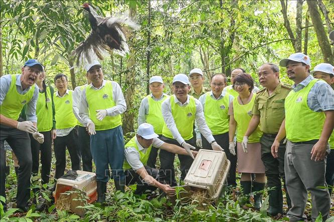 Việt Nam thuộc 16 quốc gia sở hữu đa dạng sinh học cao nhất thế giới - ảnh 1